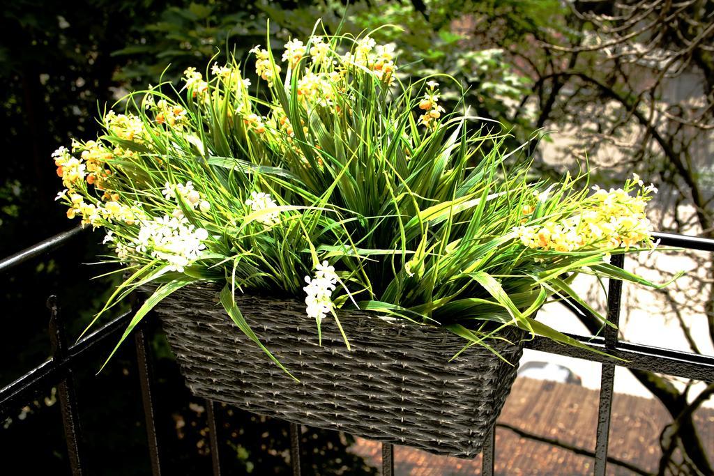 Flowers City Center Apartments Zagreb Habitación foto